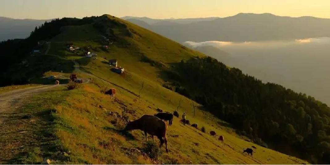 Doğaseverler ve fotoğraf tutkunları buraya bayılıyor! Denizden tam 1815 metre yükseklikte: Sis denizi manzarası eşsiz… 2